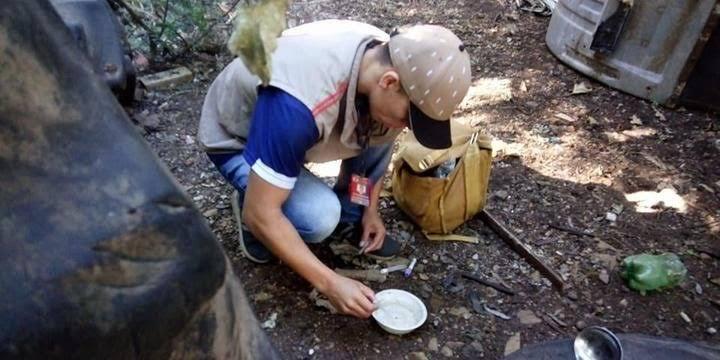 Principal forma de evitar a doen&ccedil;a &eacute; a elimina&ccedil;&atilde;o dos potenciais criadouros do Aedes aegypti