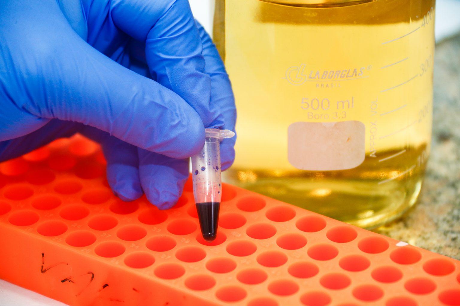 Governo sanciona lei para recursos &agrave; ci&ecirc;ncia 