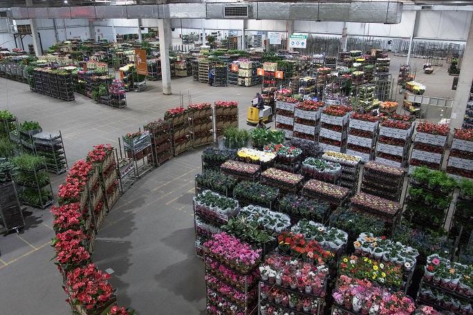 Pequenos neg&oacute;cios respondem por 76% dos novos empregos de abril