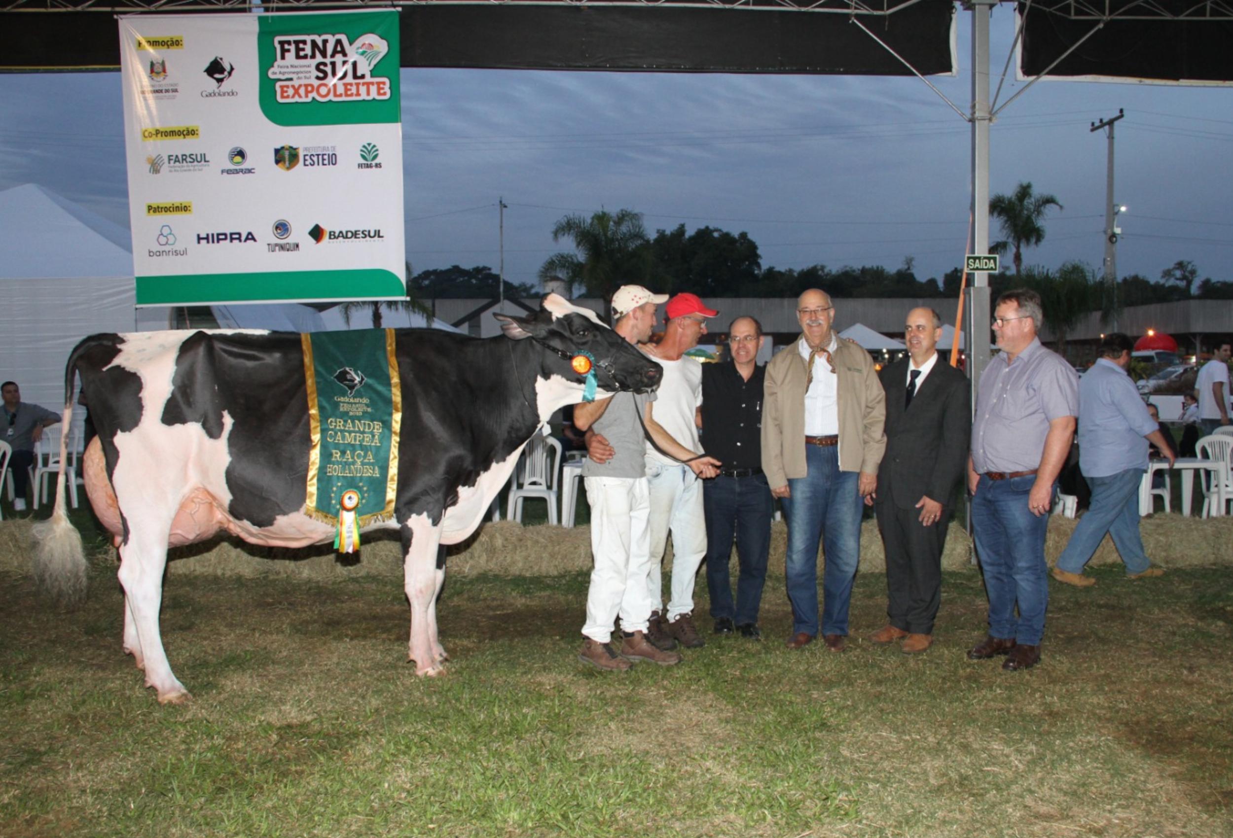 Santa Clara Let&iacute;cia 34394 Cac&atilde; Doorman foi Grande Campe&atilde; Holandesa e Vaca Suprema das exposi&ccedil;&otilde;es