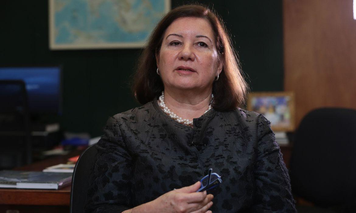 O Senado j&aacute; tinha aprovado a indica&ccedil;&atilde;o de Viotti para o cargo de embaixadora 