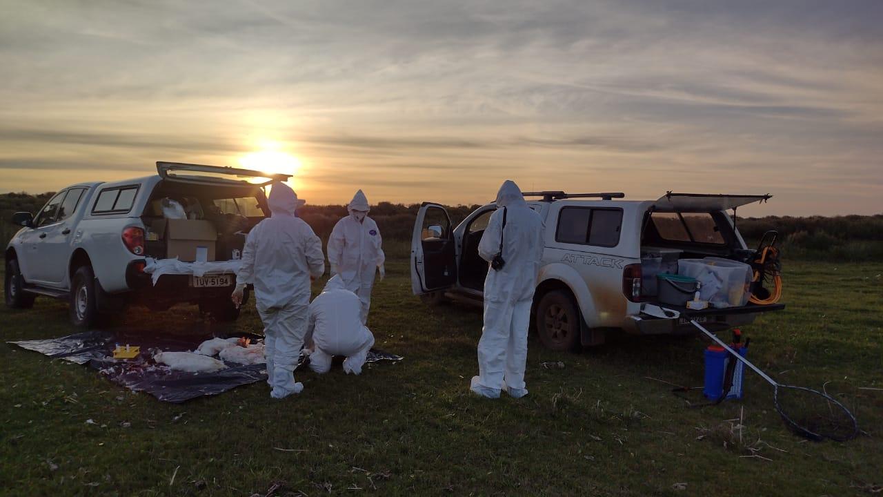 &Oacute;bitos s&atilde;o identificados desde a &uacute;ltima quarta-feira