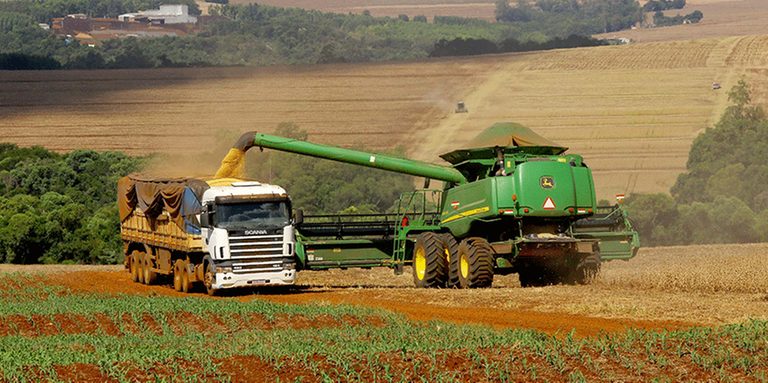 Agropecuária influencia positivamente no PIB brasileiro Agropecuária influencia positivamente no PIB brasileiro