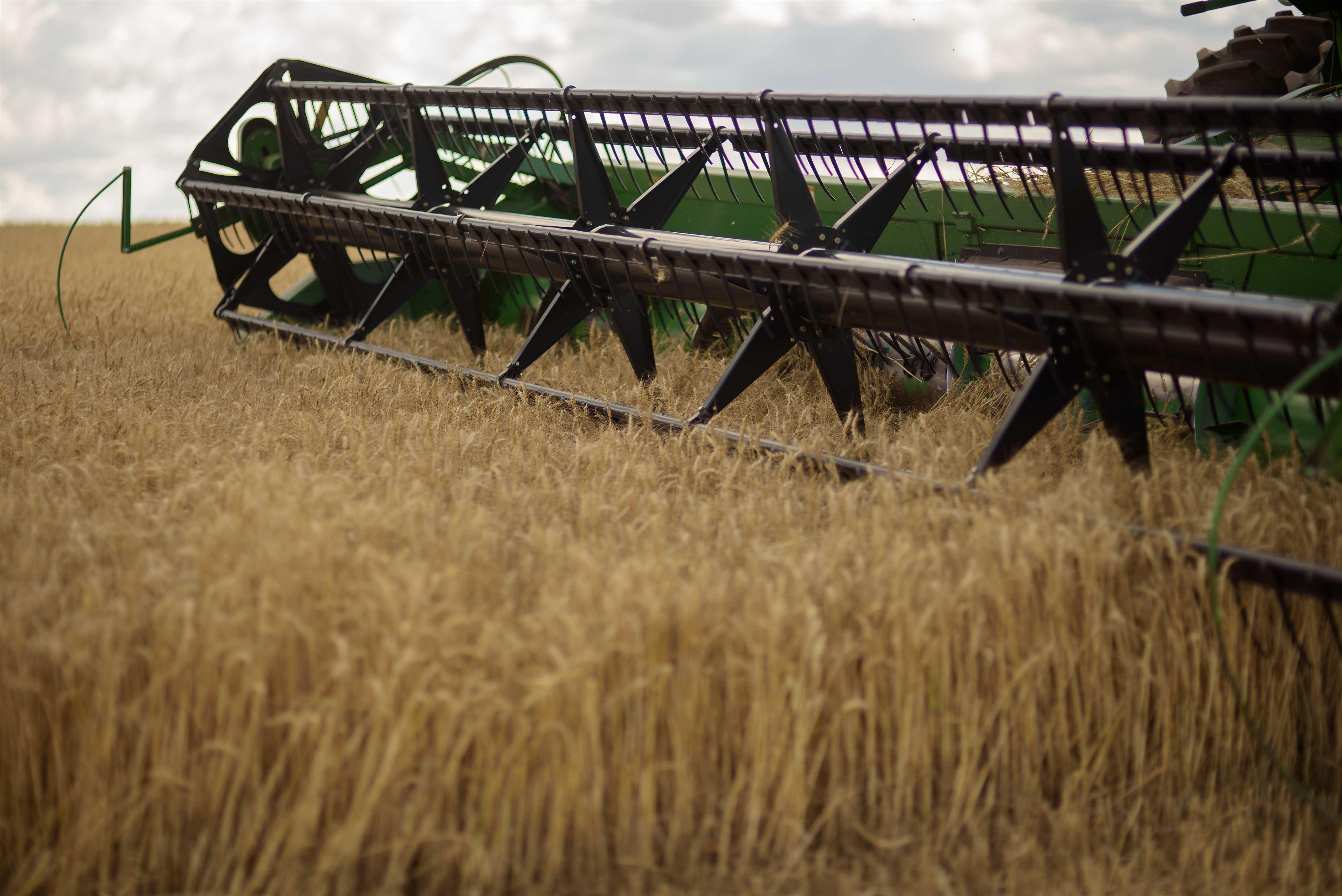 Agricultura ser&aacute; um dos setores mais prejudicados pelo clima