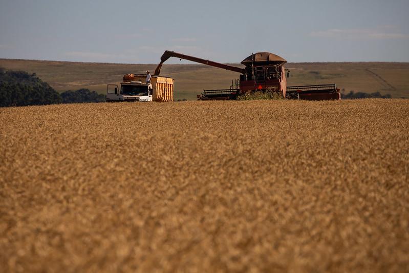 Na apresenta&ccedil;&atilde;o das proje&ccedil;&otilde;es, tamb&eacute;m foram destacados os poss&iacute;veis impactos do El Ni&ntilde;o nas lavouras.