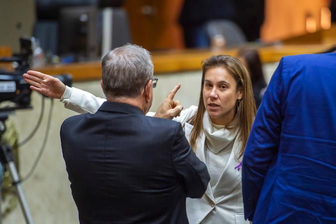 As duas comiss&otilde;es ser&atilde;o instaladas no in&iacute;cio de agosto