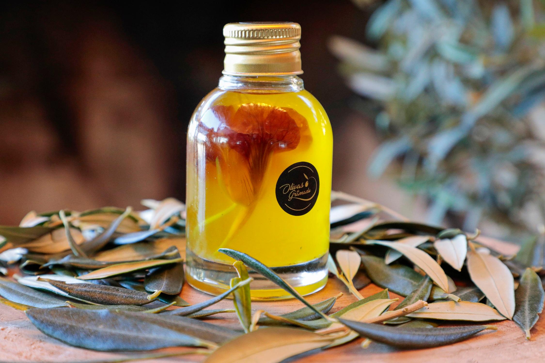 Iniciativa &eacute; do azeit&oacute;logo e s&oacute;cio-propriet&aacute;rio do Olivas de Gramado, Andr&eacute; Bertolucci