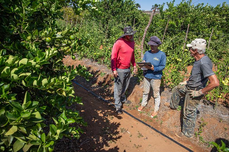 O programa do governo federal &eacute; uma pol&iacute;tica p&uacute;blica de assist&ecirc;ncia social que associa transfer&ecirc;ncia de renda n&atilde;o reembols&aacute;vel e presta&ccedil;&atilde;o de servi&ccedil;os de Assist&ecirc;ncia T&eacute;cnica e Extens&atilde;o Rural e Social (Aters).