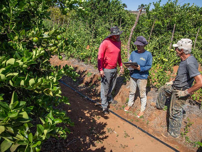 O programa do governo federal é uma política pública de assistência social que associa transferência de renda não reembolsável e prestação de serviços de Assistência Técnica e Extensão Rural e Social (Aters). O programa do governo federal é uma política pública de assistência social que associa transferência de renda não reembolsável e prestação de serviços de Assistência Técnica e Extensão Rural e Social (Aters).