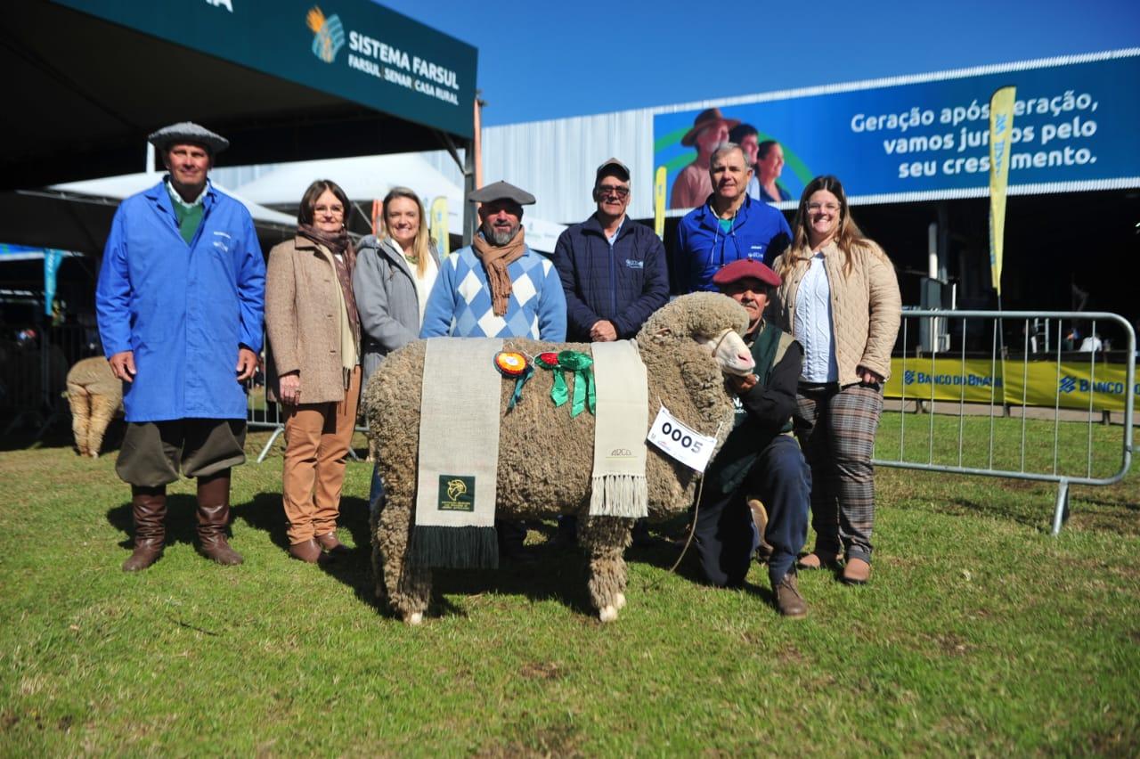 Cabanha Santa Camila recebe pr&ecirc;mio entre as f&ecirc;meas da ra&ccedil;a Merino Australiano 