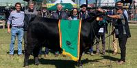 A fêmea Brangus 4 Linhas Africana TEIB 107 Laconquista, do técnico e criador Mano Menezes (de chapéu marrom) conquistou a Grande Campeã da Expointer 2023