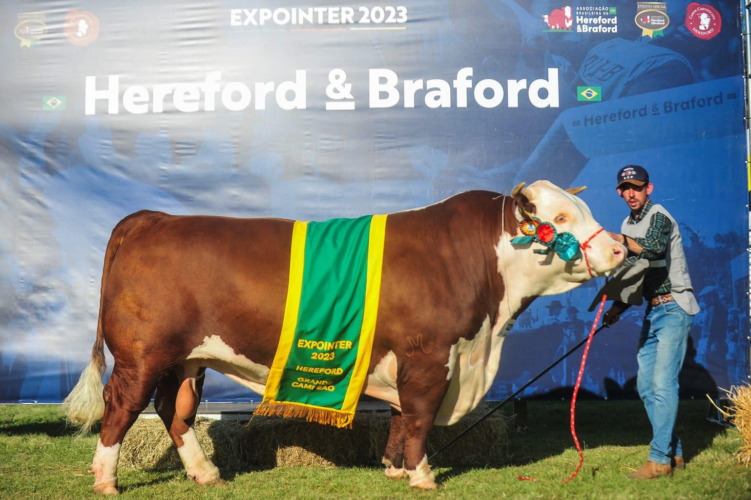Da M&atilde;e Rainha Z 411 United Cocoa Te, conhecido pelo propriet&aacute;rio como Tormenta, foi o grande campe&atilde;o da Hereford