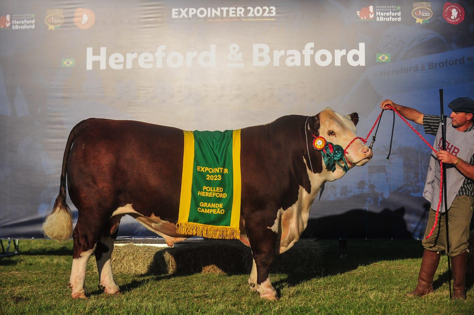 Biotec Konan Jewel Frontier (box 1233) levou a premia&ccedil;&atilde;o de Grande Campe&atilde;o da ra&ccedil;a Polled Hereford e ainda foi escolhido o Supremo campe&atilde;o