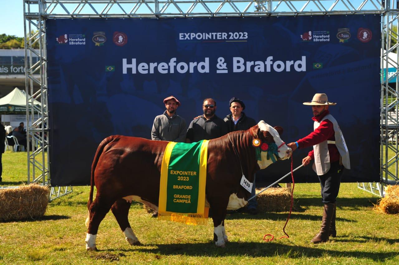 A f&ecirc;mea Carcavio 38-138 Experto 3876 Magno Te (box 1439) conquistou o t&iacute;tulo de Grande Campe&atilde; da ra&ccedil;a Braford