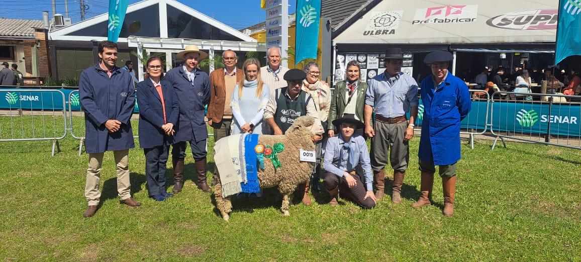 Com peso de 84 quilos, a ovelha Burity 3270 conquistou o t&iacute;tulo de Grande Campe&atilde; da ra&ccedil;a