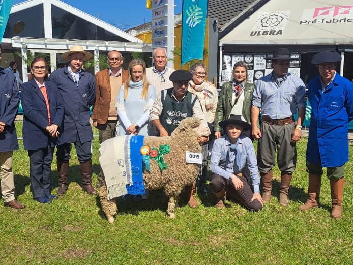 Com peso de 84 quilos, a ovelha Burity 3270 conquistou o título de Grande Campeã da raça Com peso de 84 quilos, a ovelha Burity 3270 conquistou o título de Grande Campeã da raça