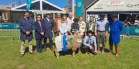Com peso de 84 quilos, a ovelha Burity 3270 conquistou o título de Grande Campeã da raça