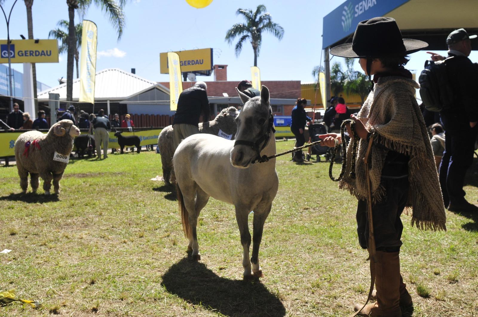 A Expointer tem muitas atra&ccedil;&otilde;es, entre elas, a exposi&ccedil;&atilde;o de animais, que atrai o p&uacute;blico infantil  