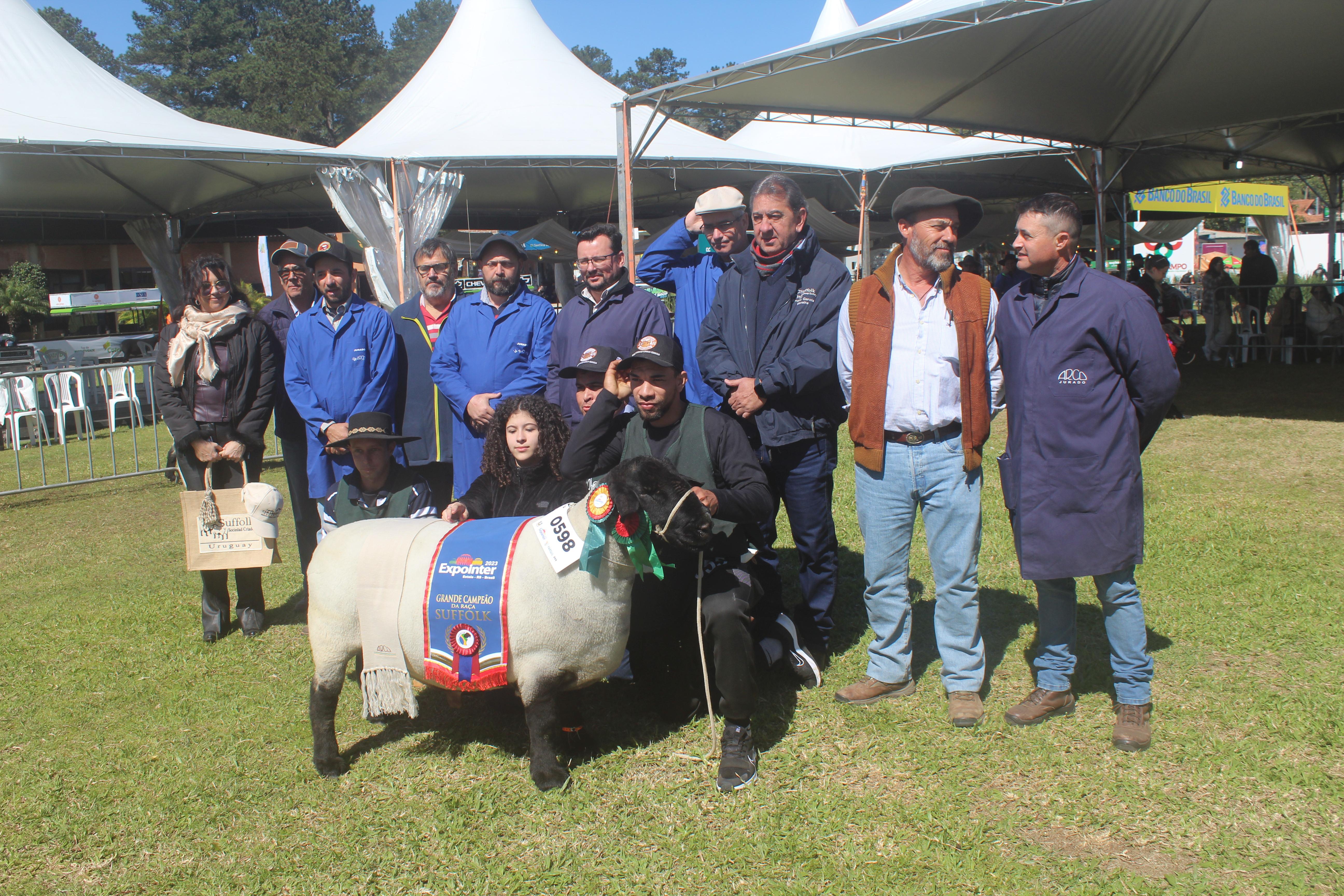 Exemplar pertence &agrave; Fazenda Descanso, de S&atilde;o Martinho da Serra