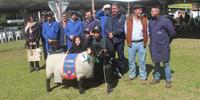 Exemplar pertence à Fazenda Descanso, de São Martinho da Serra