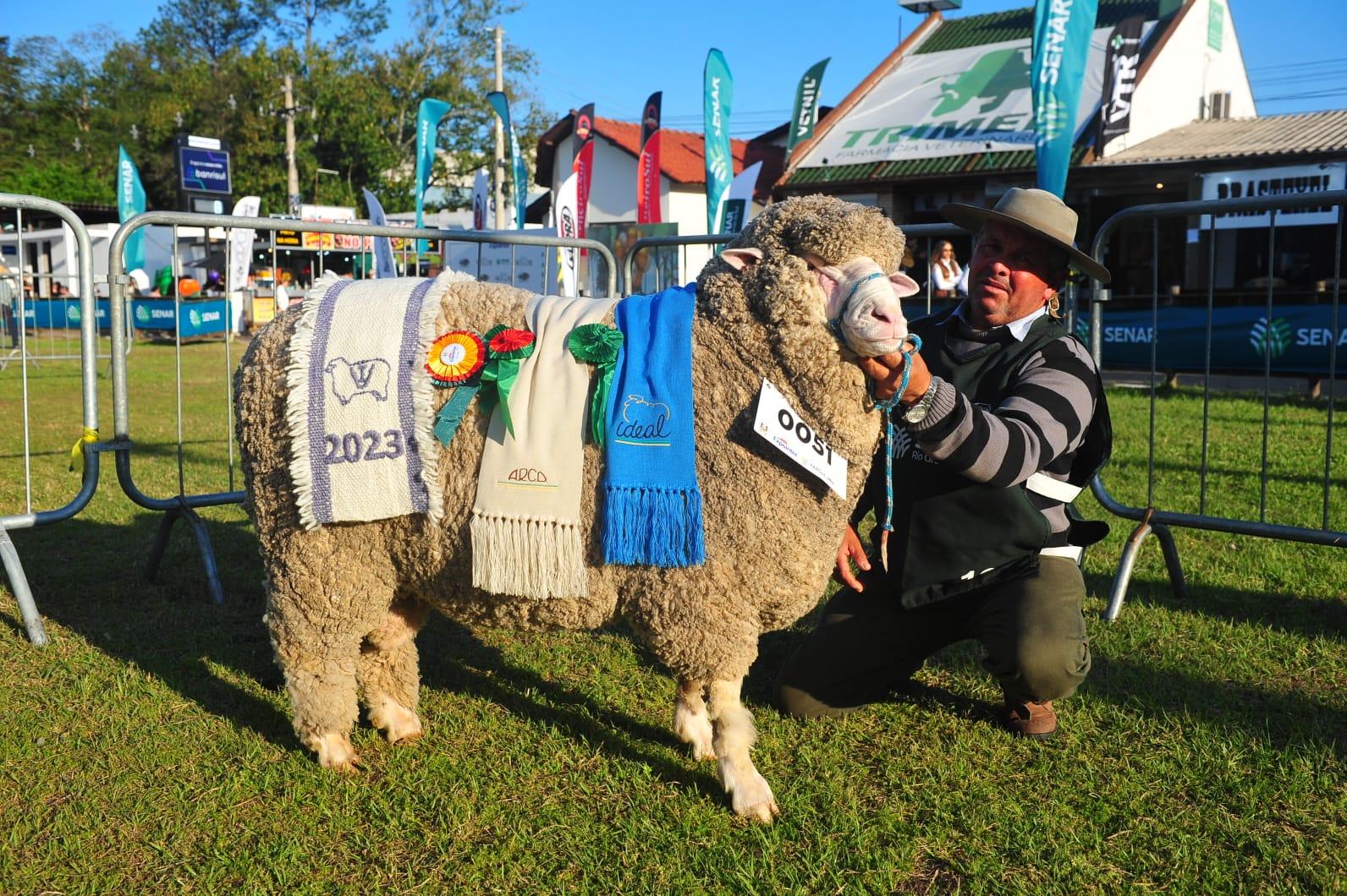 O exemplar &Aacute;gua Fria H65 venceu disputa de machos da ra&ccedil;a Ideal