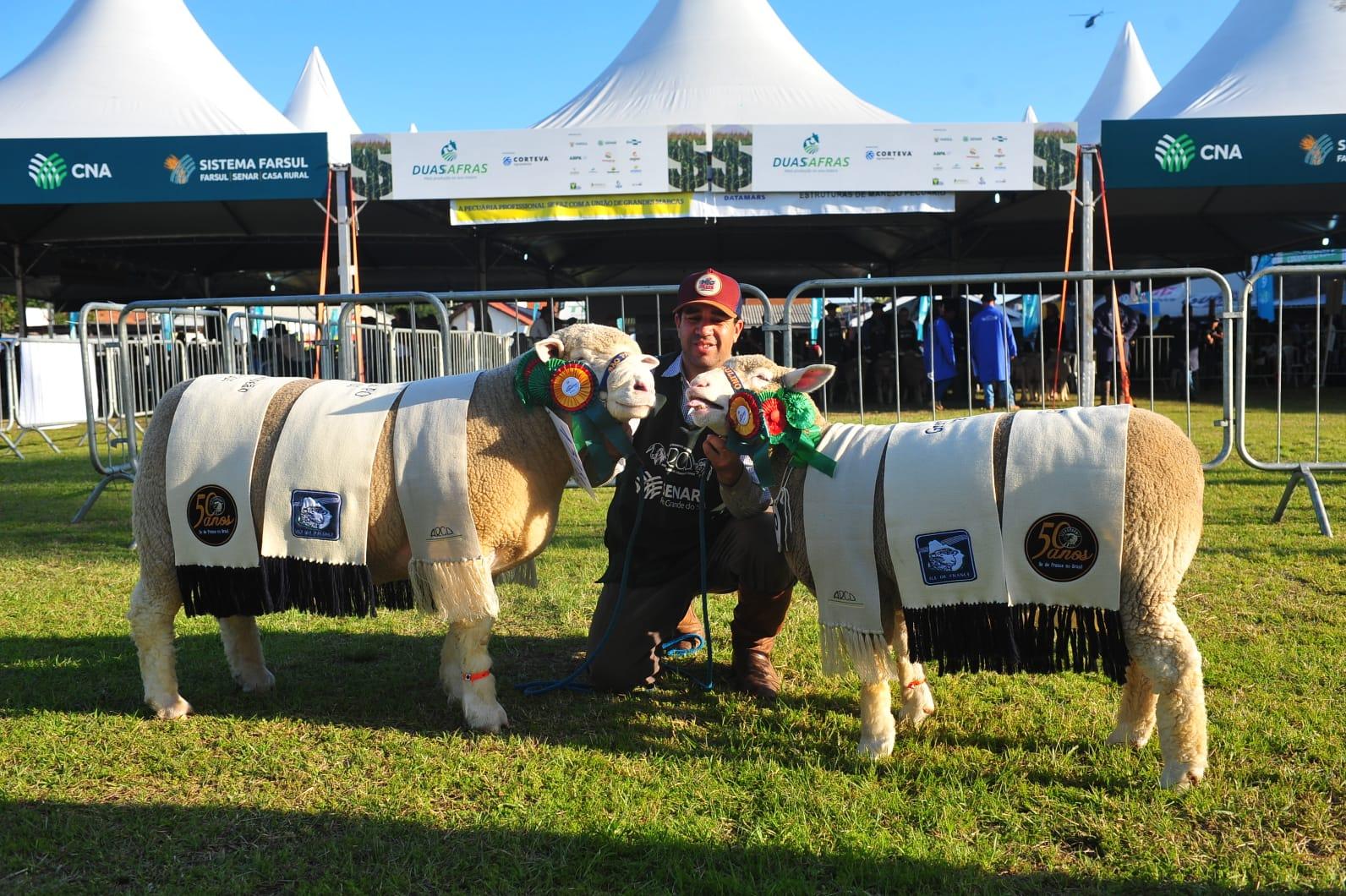 Tatuagem 1938 e Tatuagem 2057 sagraram-se Grande Campeão e Grande Campeã da raça Tatuagem 1938 e Tatuagem 2057 sagraram-se Grande Campeão e Grande Campeã da raça