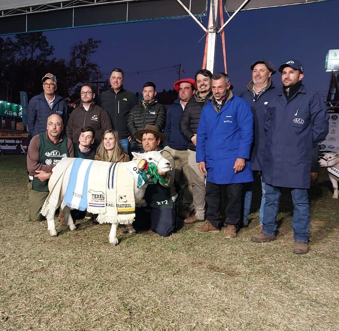 Entre as f&ecirc;meas, Amado 1811 foi a vencedora
