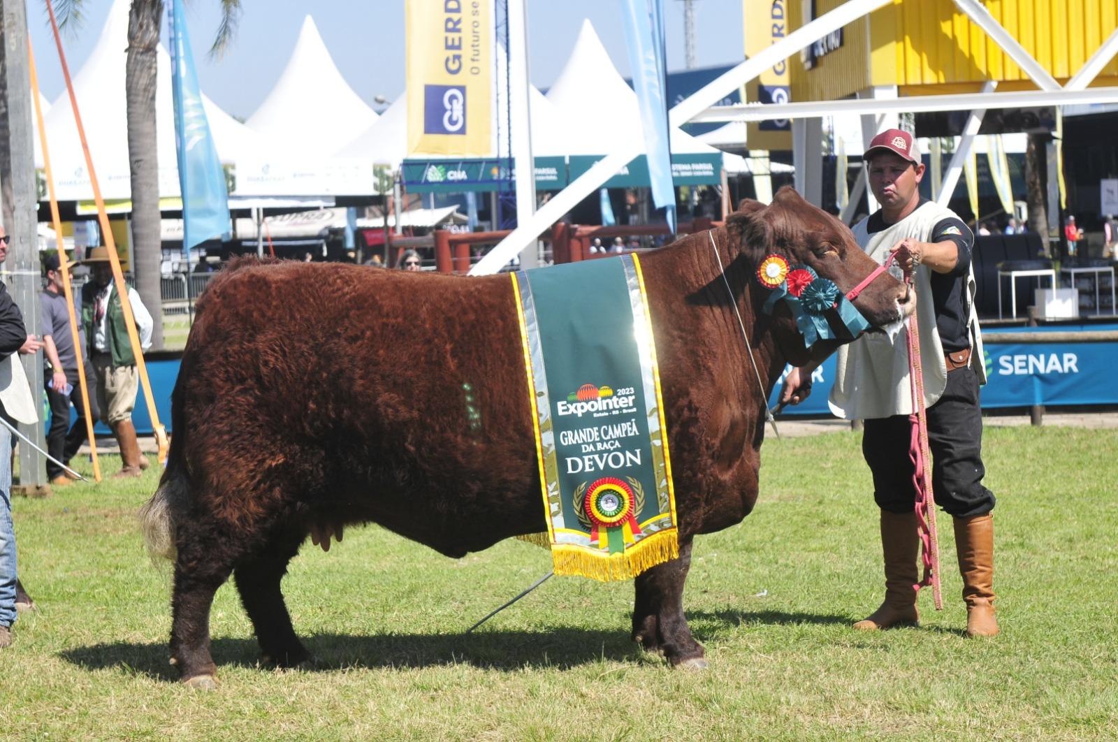 Camboat&atilde; 896 Orion 567 C 436, da Camboat&atilde; Agropecu&aacute;ria, venceu na categoria f&ecirc;meas