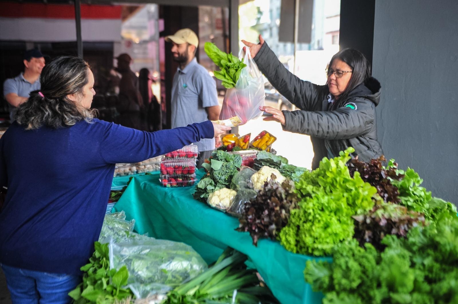 Consumo em alta &eacute; um dos primeiros reflexos da queda no juro 