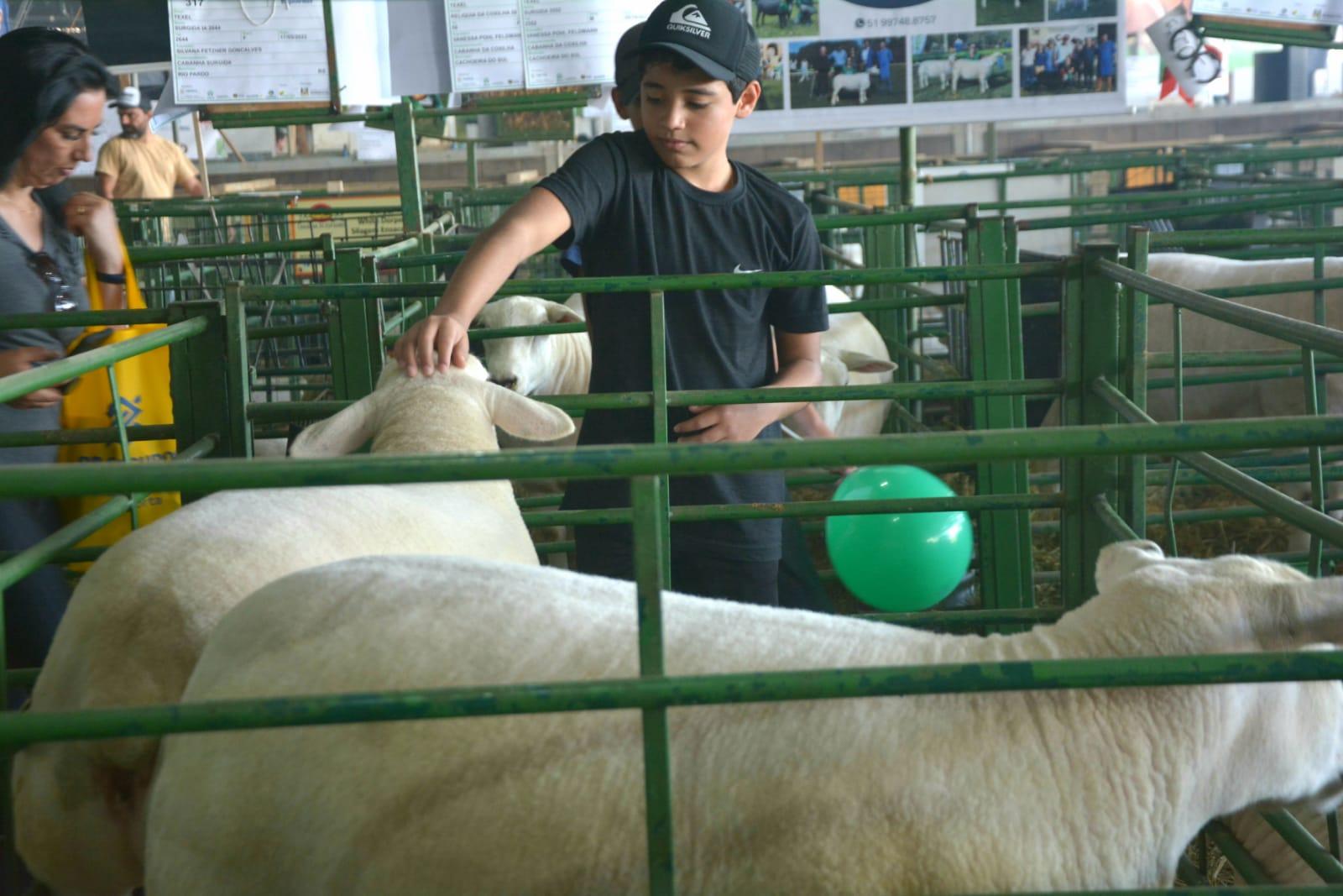 As crian&ccedil;as se divertem interagindo com os animais na Expointer 2023