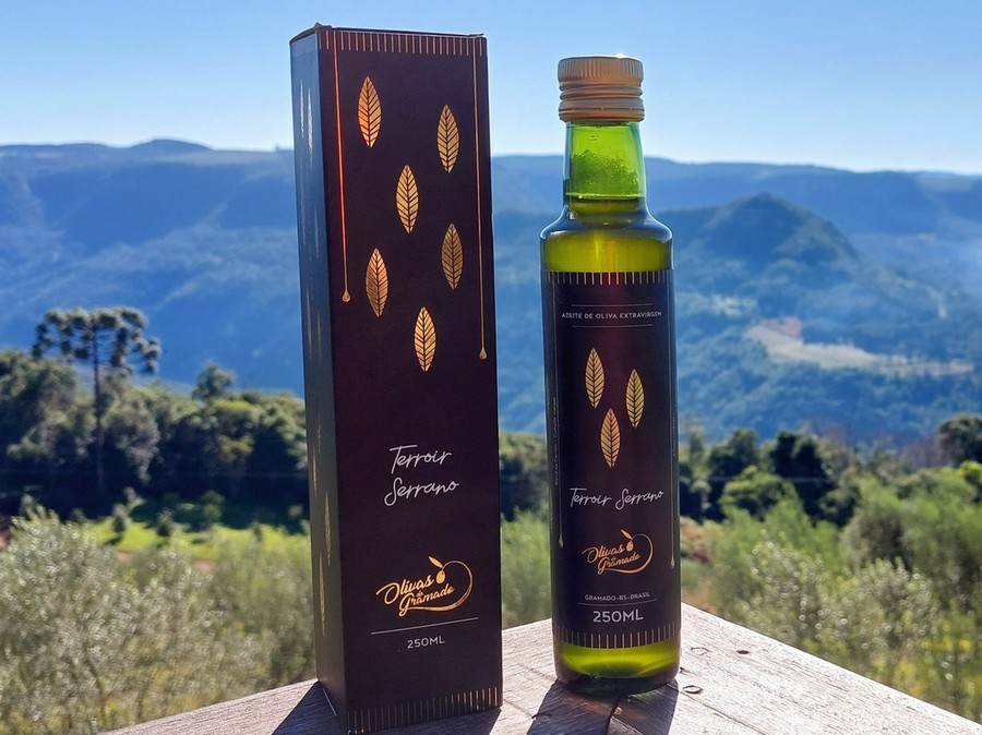 Azeite Terroir Serrano 2023 é uma edição limitada de Blend de Campo Multivarietal Azeite Terroir Serrano 2023 é uma edição limitada de Blend de Campo Multivarietal