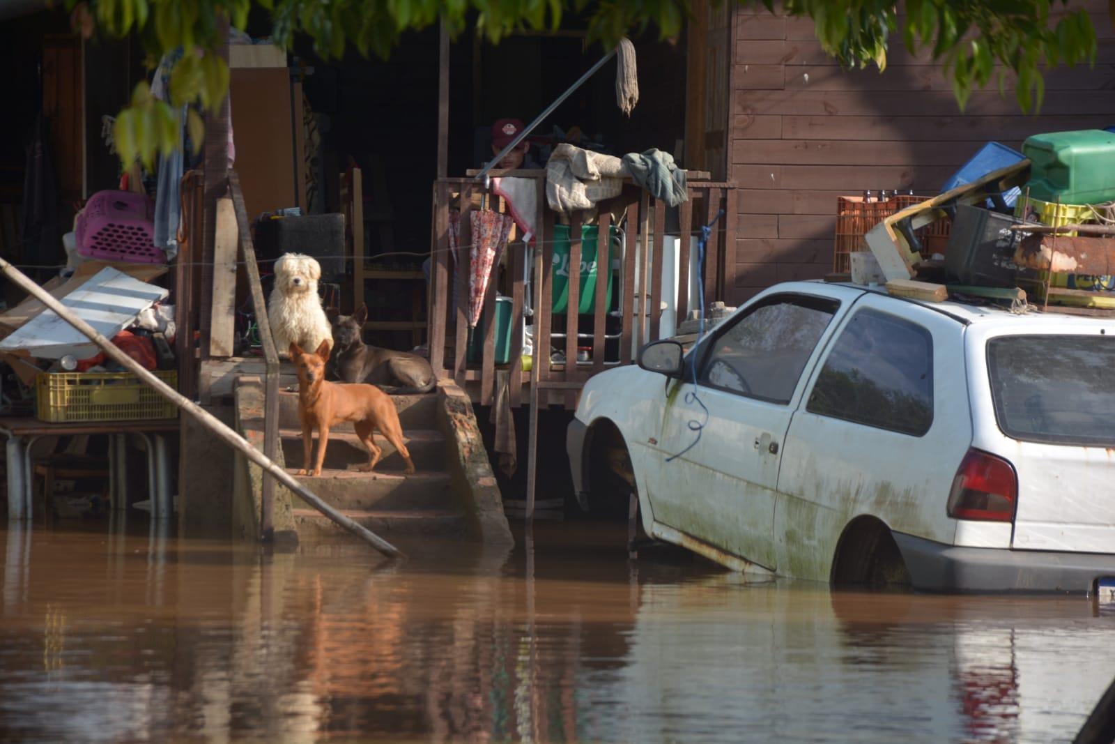 As pessoas que permanecem ilhadas contam com o apoio de volunt&aacute;rios e dos &oacute;rg&atilde;o de seguran&ccedil;a que entregam kits de suprimentos b&aacute;sicos
