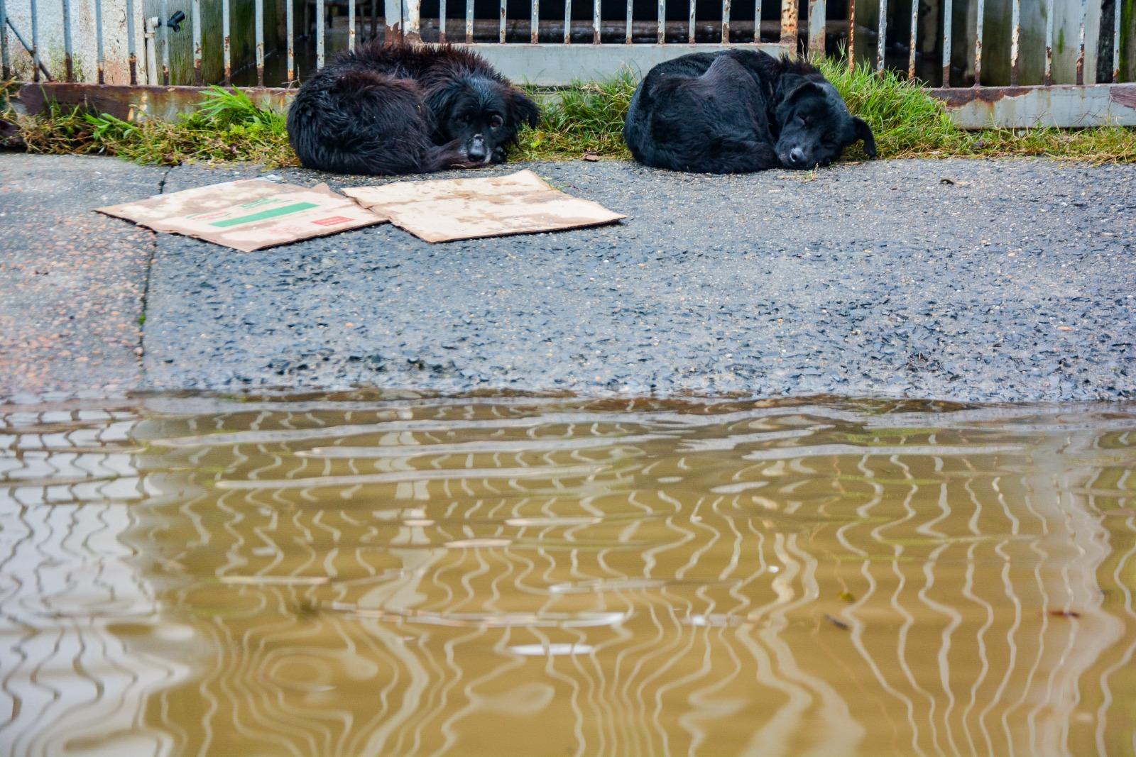 A estimativa &eacute; de muita chuva na madrugada e nos pr&oacute;ximos dias