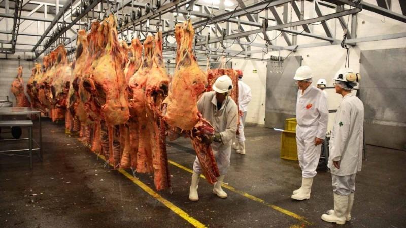 Minist&eacute;rio avaliou servi&ccedil;o de inspe&ccedil;&atilde;o estadual em estabelecimentos de abate