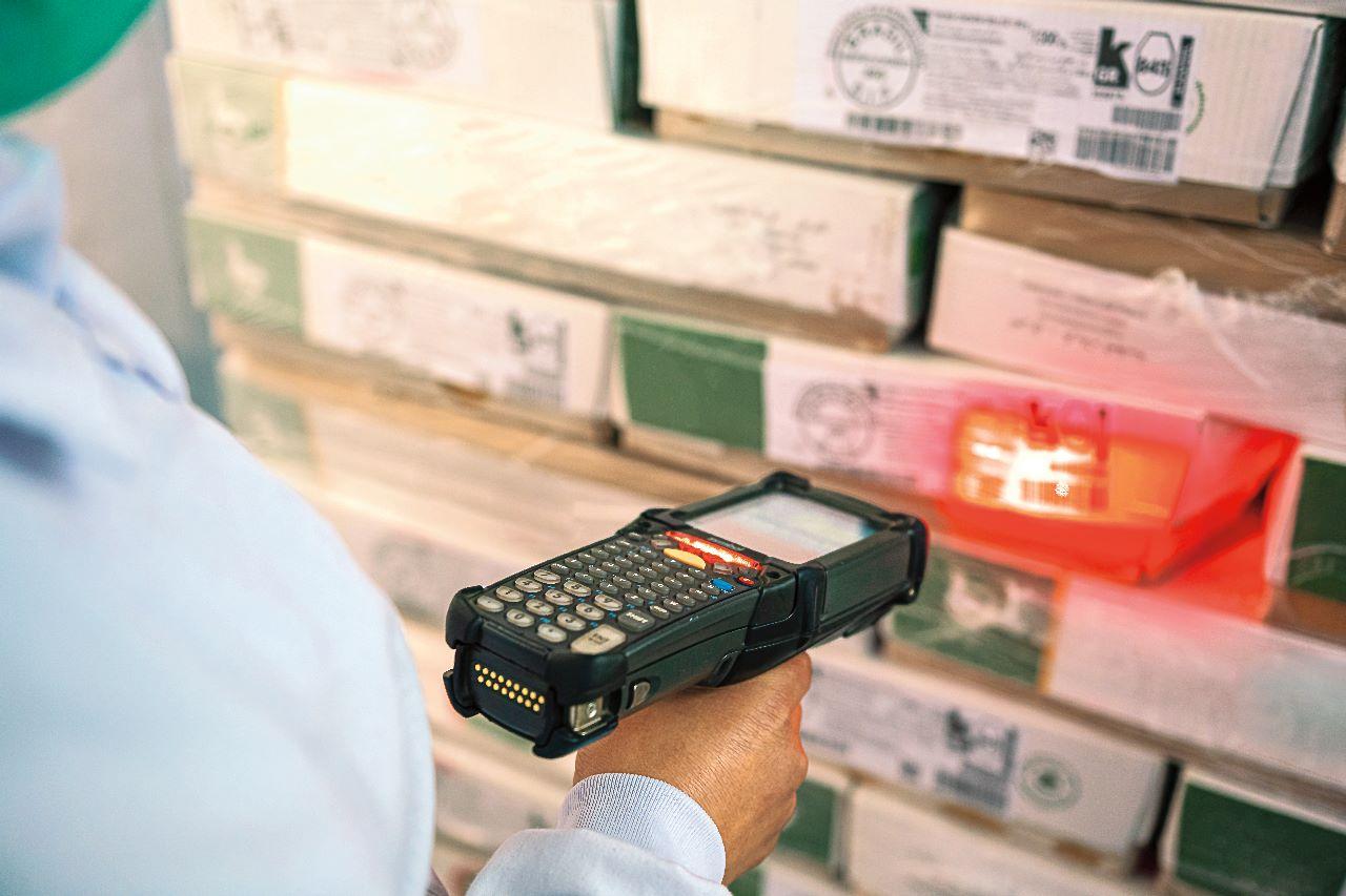 Receita dos embarques para o Egito, at&eacute; o &uacute;ltimo m&ecirc;s de setembro, ultrapassou 100 milh&otilde;es de d&oacute;lares