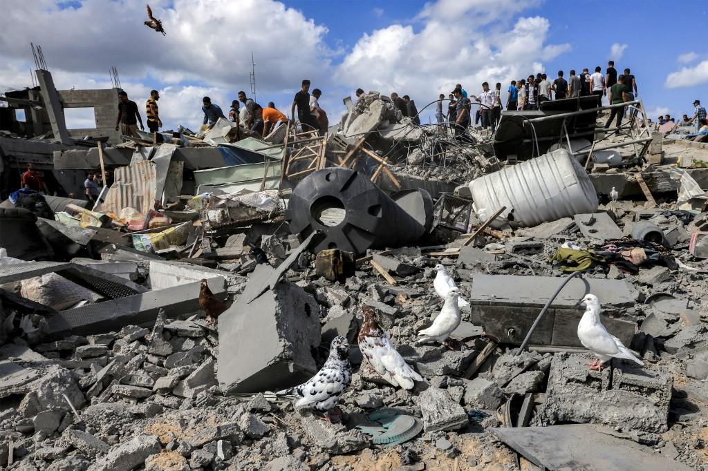 Tedros Adhanom Ghebreyesus pediu a abertura da passagem de fronteira de Rafah