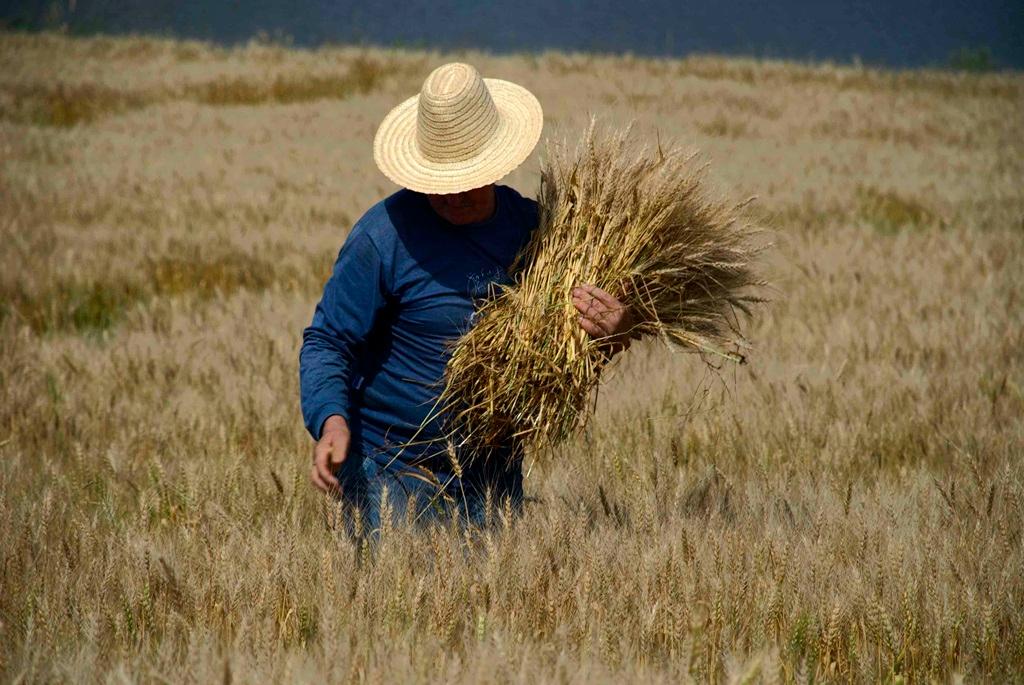 Cen&aacute;rio &eacute; de preocupa&ccedil;&atilde;o para produtores de todas as regi&otilde;es