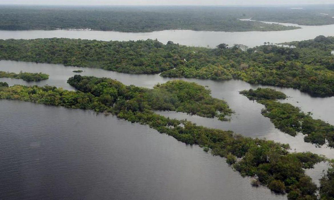Brasil tem perda em florestas naturais 