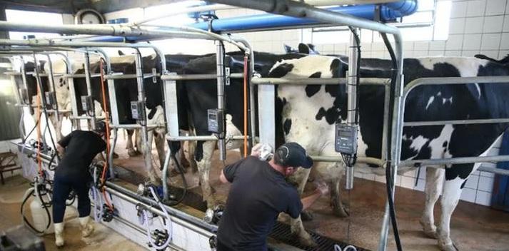 Crise leva produtores a abandonar a atividade e colapsa ind&uacute;strias