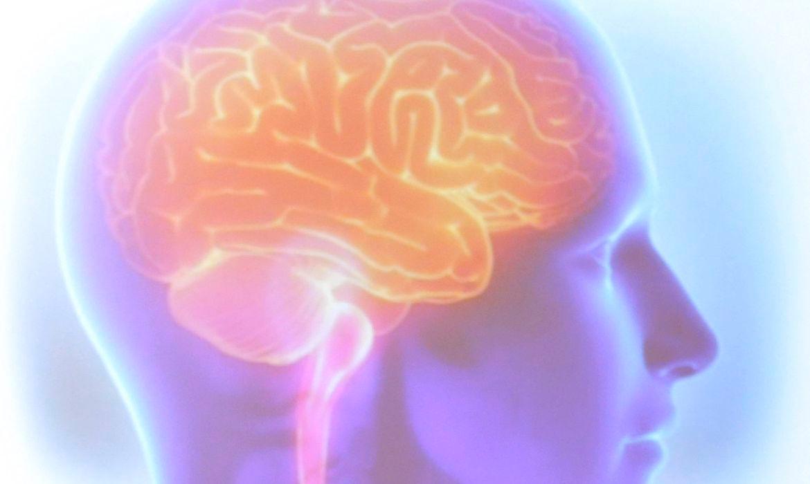 Uma em cada quatro pessoas com mais de 35 anos vai sofrer um AVC