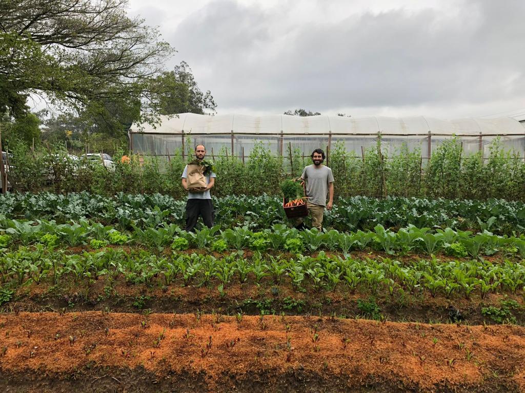 Ambos fizeram cursos para aprender o of&iacute;cio