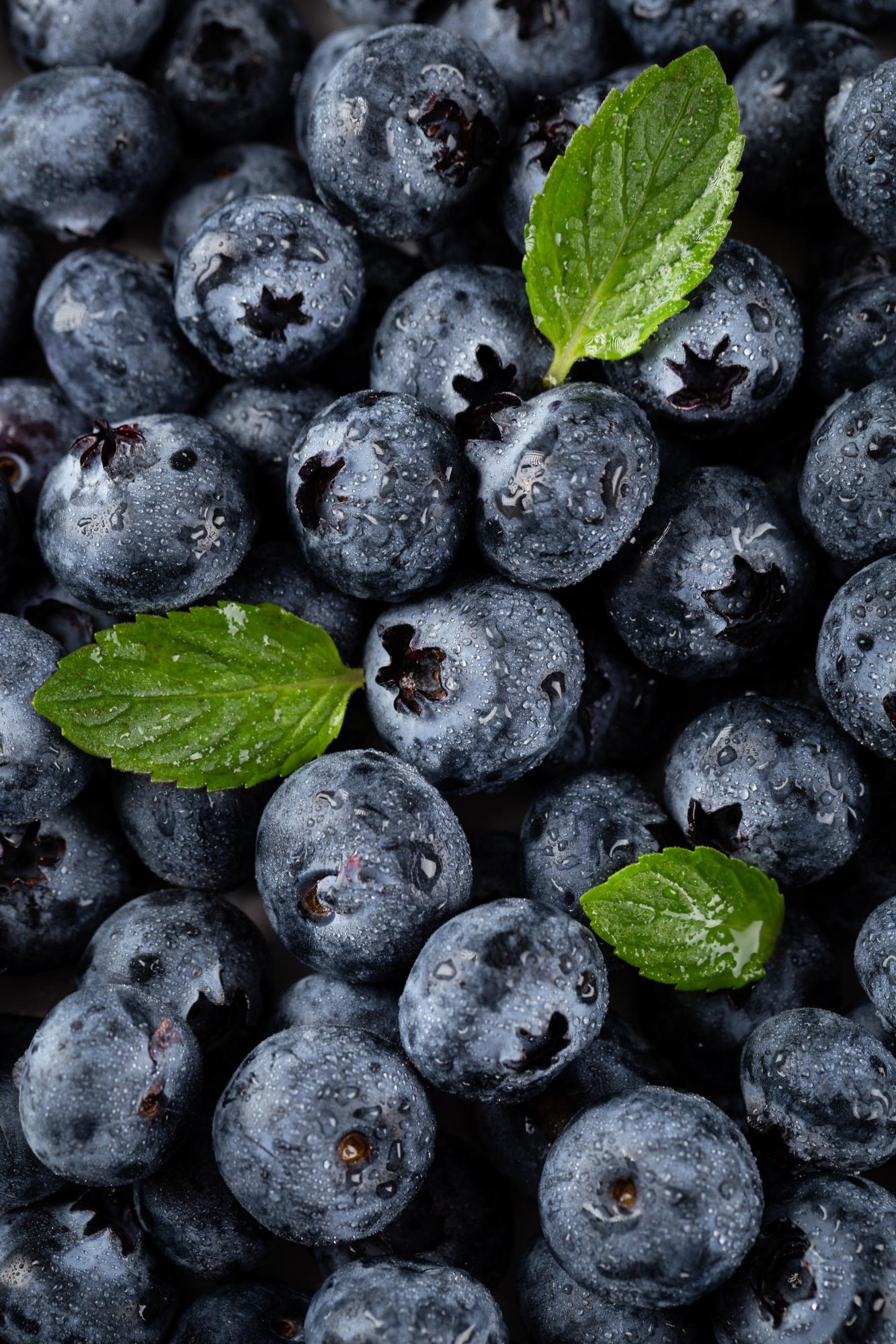 Mirtilo &eacute; rico em vitaminas A, B, C e K