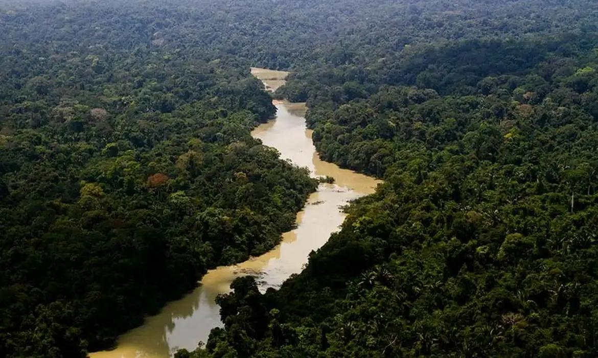 Plano quer promover a recomposi&ccedil;&atilde;o ambiental e estimular cadeias produtivas florestais