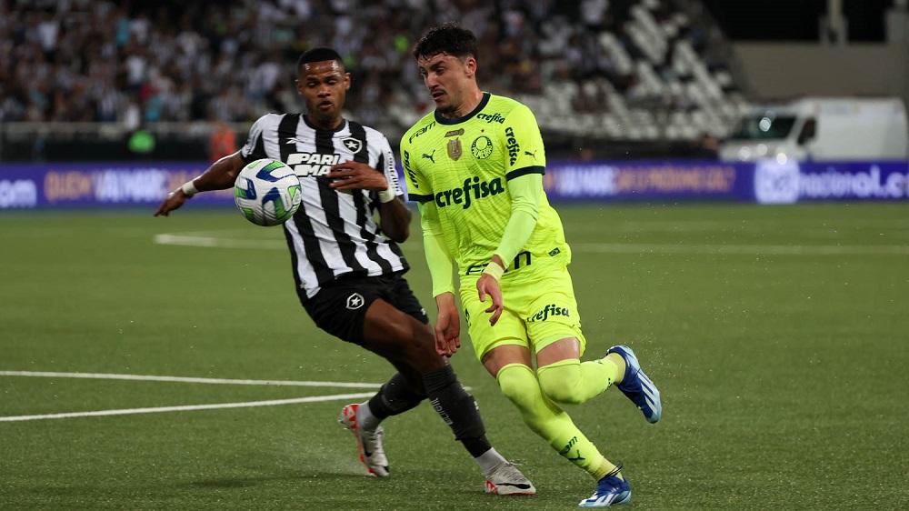 Palmeiras e Botafogo disputam de forma acirrada o t&iacute;tulo do Brasileir&atilde;o deste ano