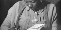 A Comissão de Seleção do concurso contou com 74 avaliadoras, entre professoras, escritoras, servidoras públicas e gestoras do livro e leitura do país inteiro