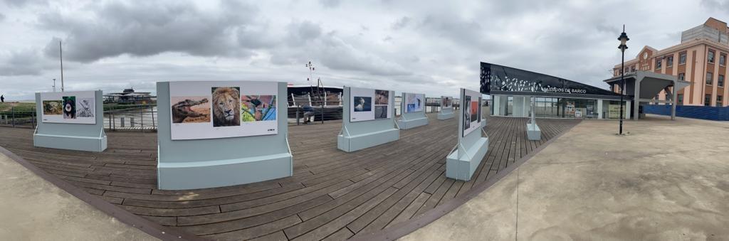 A Street Expo Photo ser&aacute; realizada pela primeira vez no Pier da Usina do Gas&ocirc;metro, mudar&aacute; de local em virtude das obras de restaura&ccedil;&atilde;o em Porto Alegre