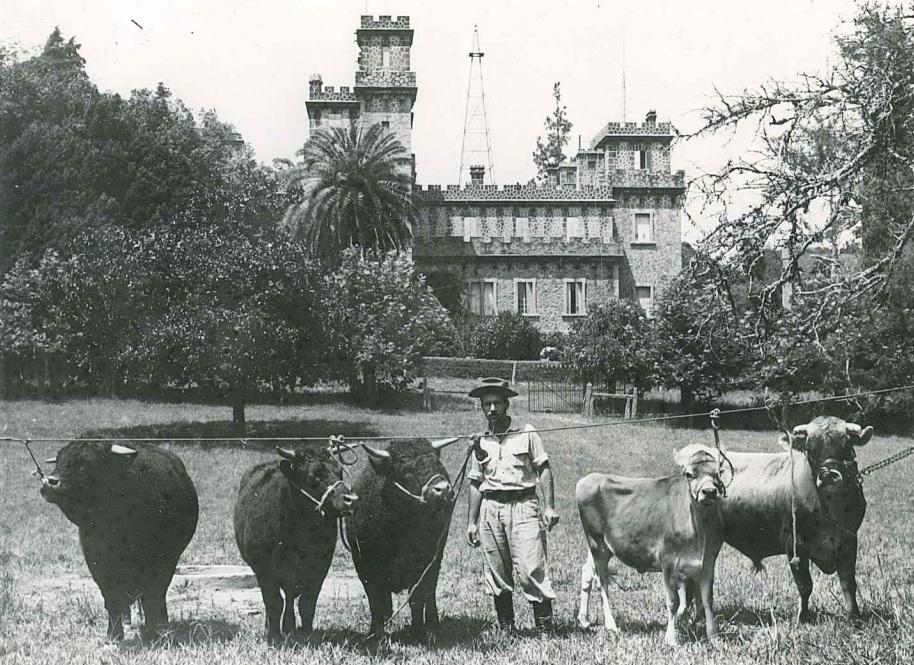Na Granja de Pedras Altas, com o Castelo ao fundo, resid&ecirc;ncia de Joaquim Francisco de Assis Brasil