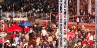 Imagens divulgadas nas redes sociais mostram o animal solto no espaço que recebe as competições de montaria e colidindo com diversas pessoas no local