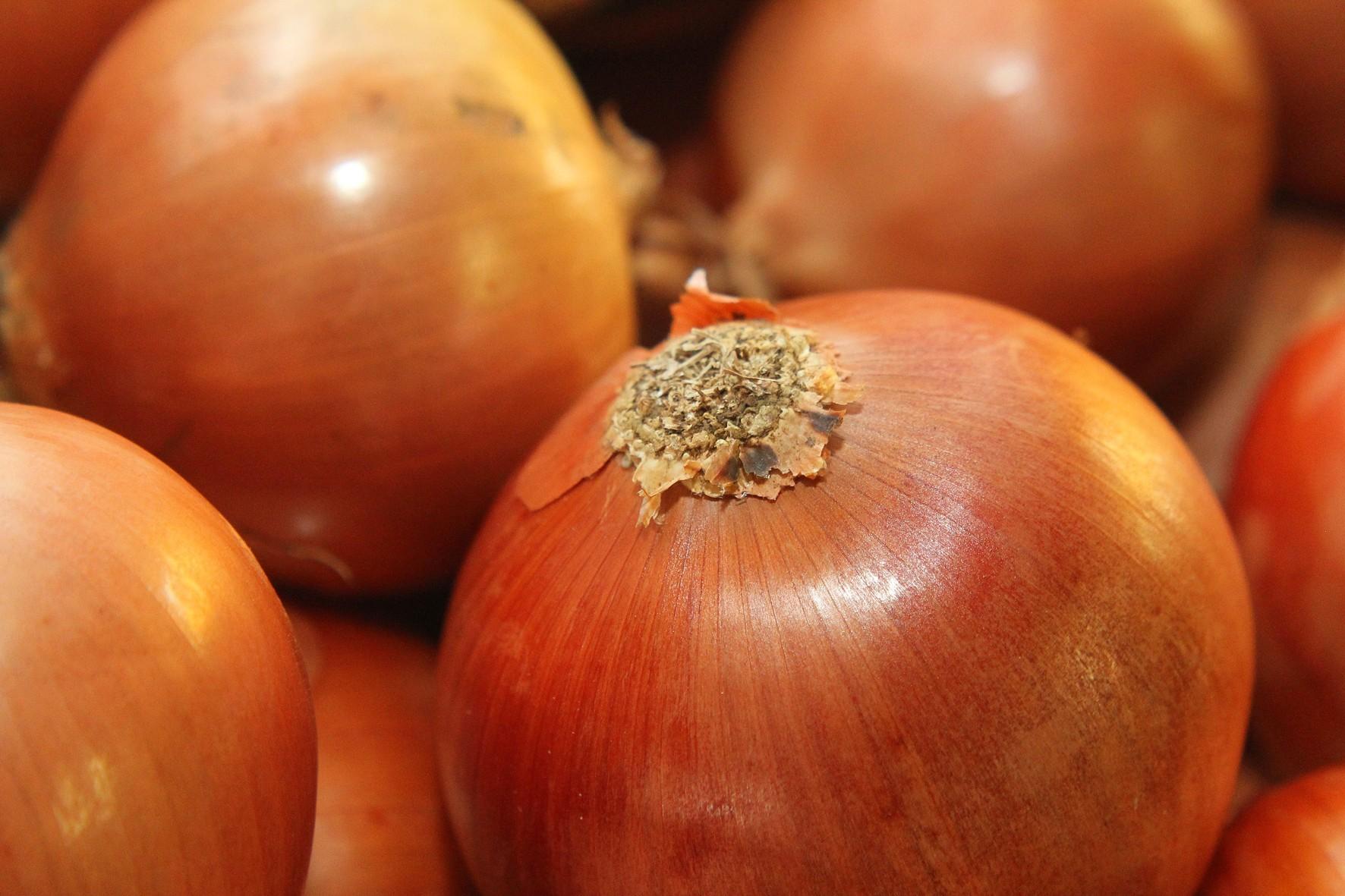 Fam&iacute;lias pagaram mais no m&ecirc;s pela cebola (26,59%)