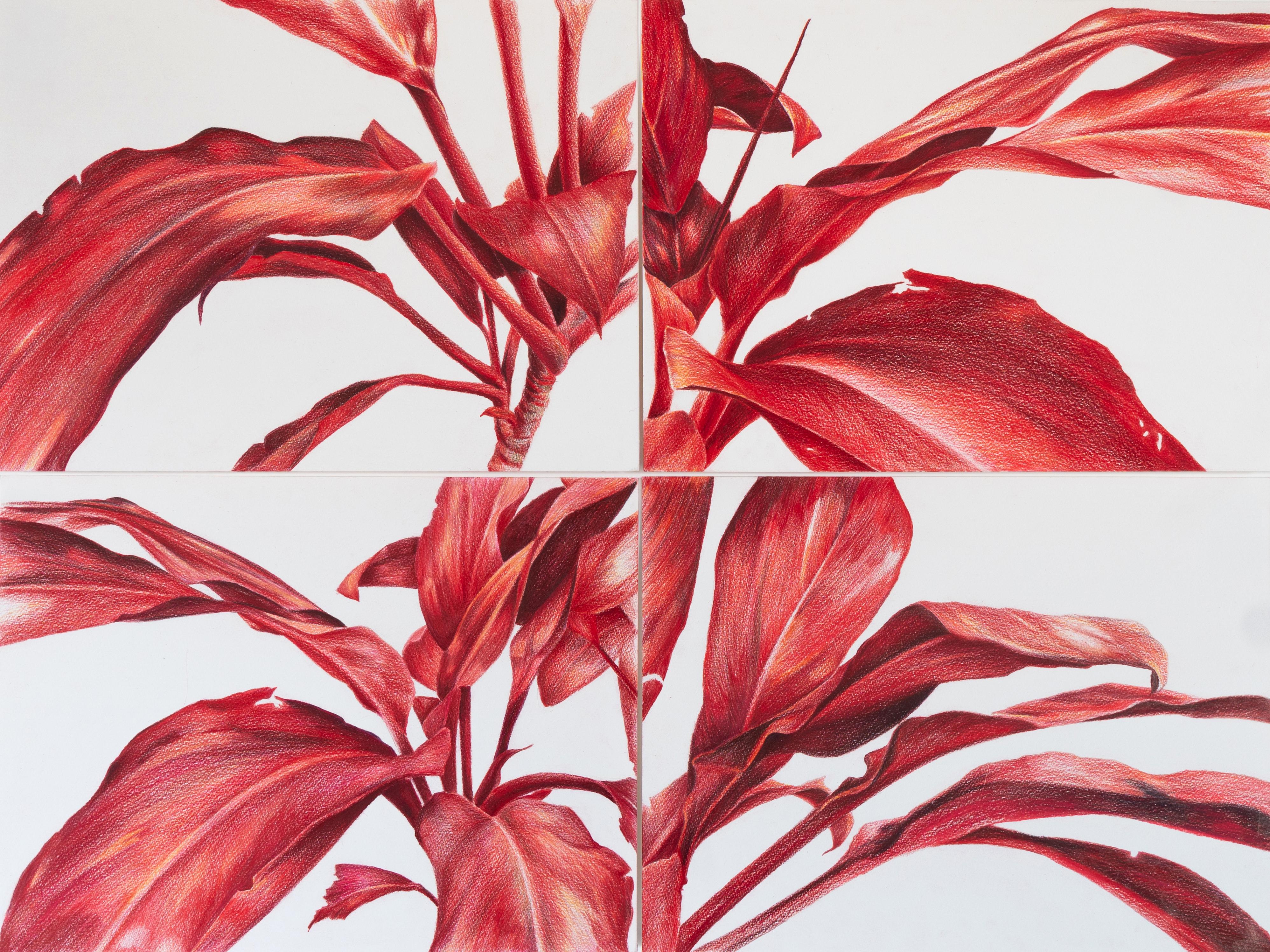 Detalhe de obra de Am&eacute;lia Brandelli, que integra a exposi&ccedil;&atilde;o que parte da ess&ecirc;ncia das formas org&acirc;nicas de plantas